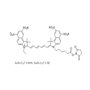 Sulfo-Cy7.5 NHS ester，水溶cy7.5活化脂