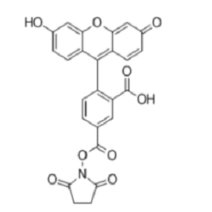 117548-22-8，5(6)-FAM，5(6)-羧基荧光素