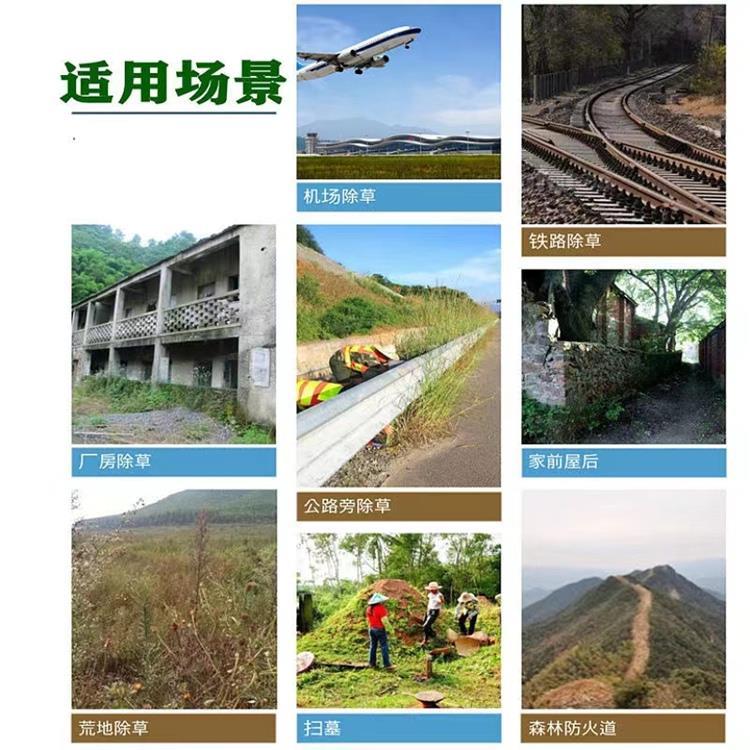 甲嘧磺隆使用场景.jpg 甲嘧磺隆使用场景.jpg