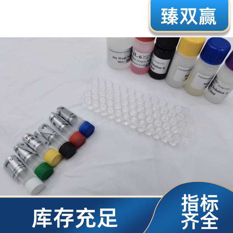 牛白血病病毒（LV）ELISA试剂盒