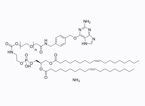 2389168-47-0；18:1 PE-PEG2000-benzylguanine
