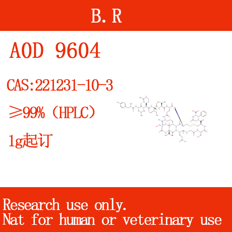 221231-10-3A0D9604出口