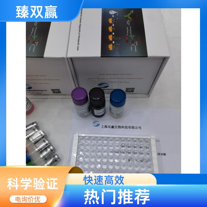 牛Bcl2样蛋白11（BCL2L11）ELISA试剂盒