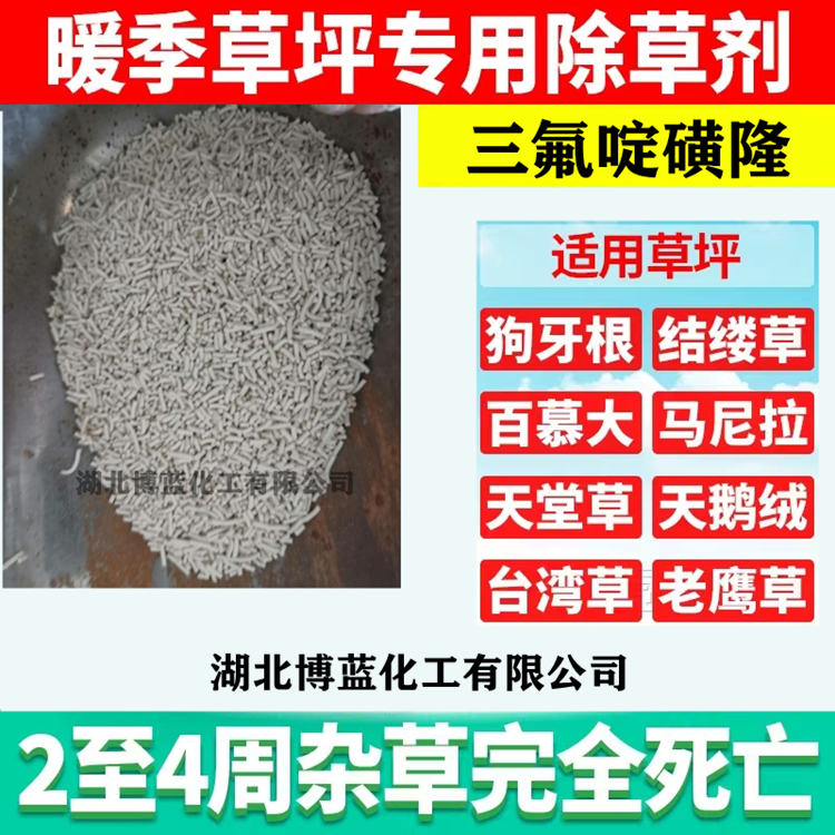 三氟啶磺隆除草剂原药厂家