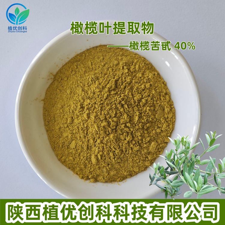 橄榄叶提取物