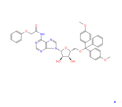 5'-O-[二(4-甲氧基苯基)苯基甲基]-N-(苯氧基乙酰基)腺苷121076-16-2