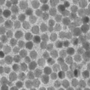 硒纳米颗粒80-100nm，SeNPs80-100nm