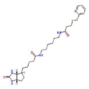 129179-83-5，二硫吡啶-生物素，HPDP-Biotin