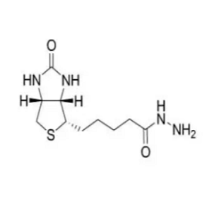 生物素-胱胺盐酸盐，Biotin-cystamine hydrochloride