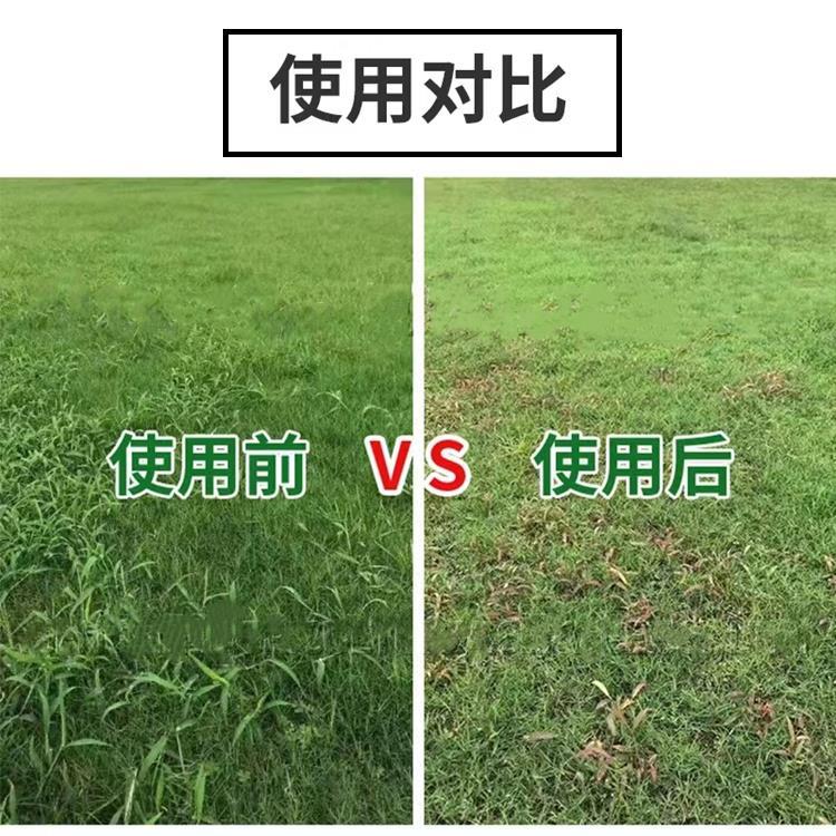 三氟啶磺隆使用对比.jpg 三氟啶磺隆使用对比.jpg