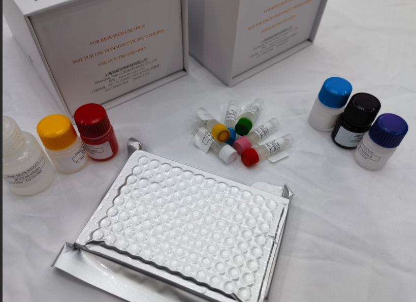 牛β淀粉样蛋白1-42（Aβ1-42）ELISA试剂盒