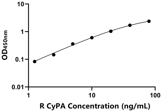 CyPA ELISA KIT / 大鼠亲环素A ELISA试剂盒