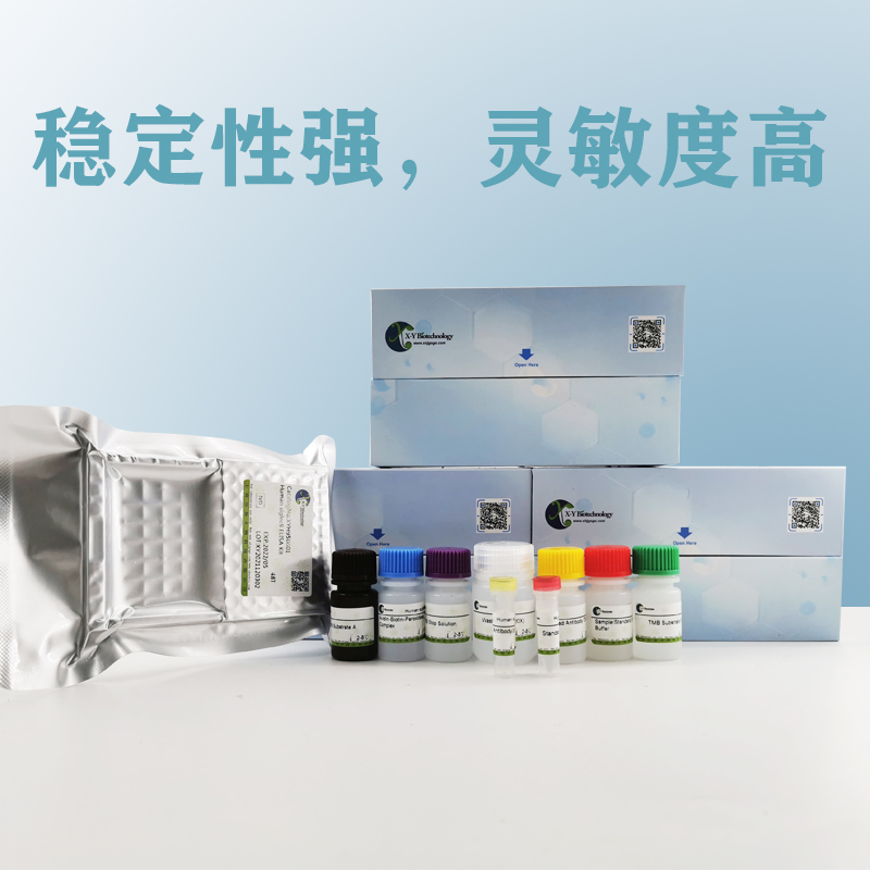 人MAT2A(S-腺苷甲硫氨酸合成酶异构体-2型)ELISA试剂盒