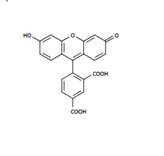 5-FAM 5-羧基荧光素  76823-03-5
