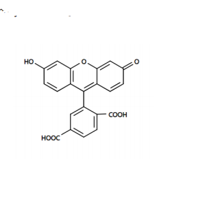 6-FAM 6-羧基荧光素  3301-79-9