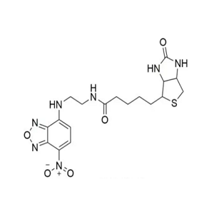 生物素-红色染料NBD，Biotin-NBD