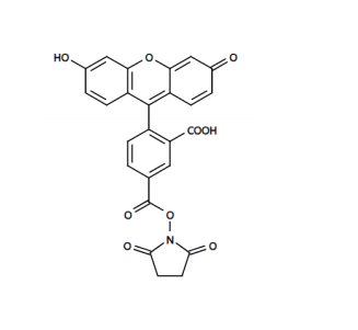 5-FAM,SE 5-羧基荧光素琥珀酰亚胺酯  92557-80-7