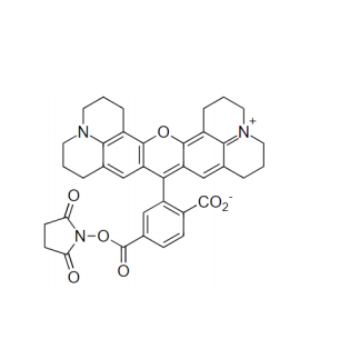 SE 6-羧基-X-罗丹明琥珀酰亚胺酯  216699-36-4 