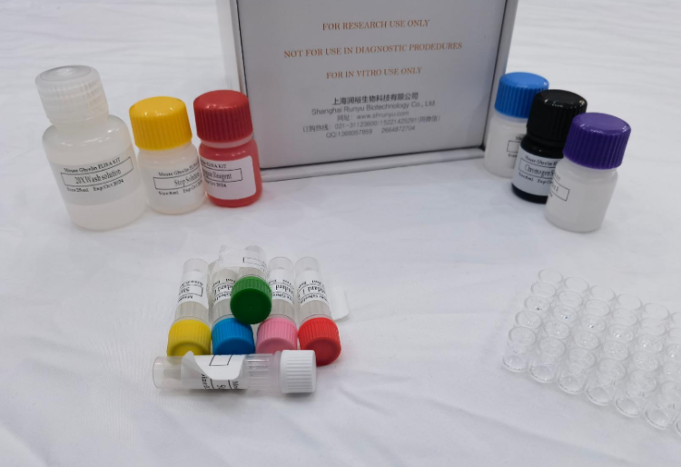 牛转化生长因子β1（TGF-β1）ELISA试剂盒