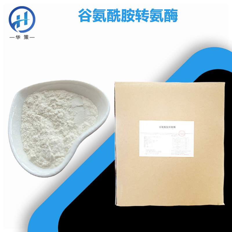 谷氨酰胺转氨酶厂家