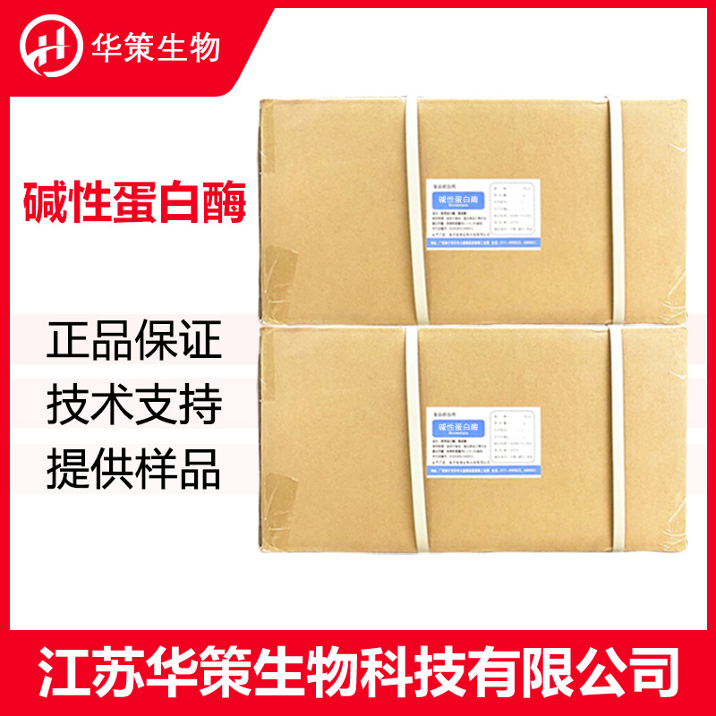 碱性蛋白酶厂家