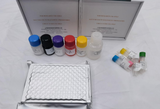 牛成纤维细胞生长因子9（FGF-9）ELISA试剂盒