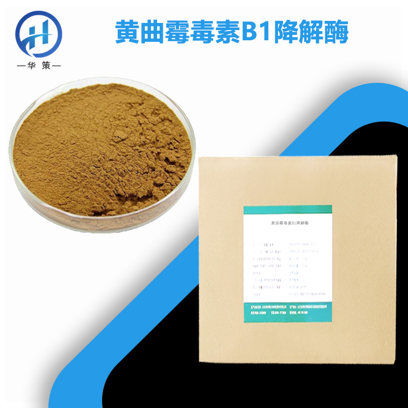 黄曲霉毒素B1降解酶厂家