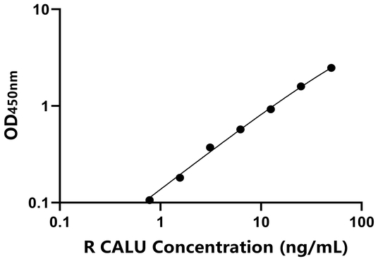 CALU ELISA KIT / 大鼠钙腔蛋白 ELISA试剂盒