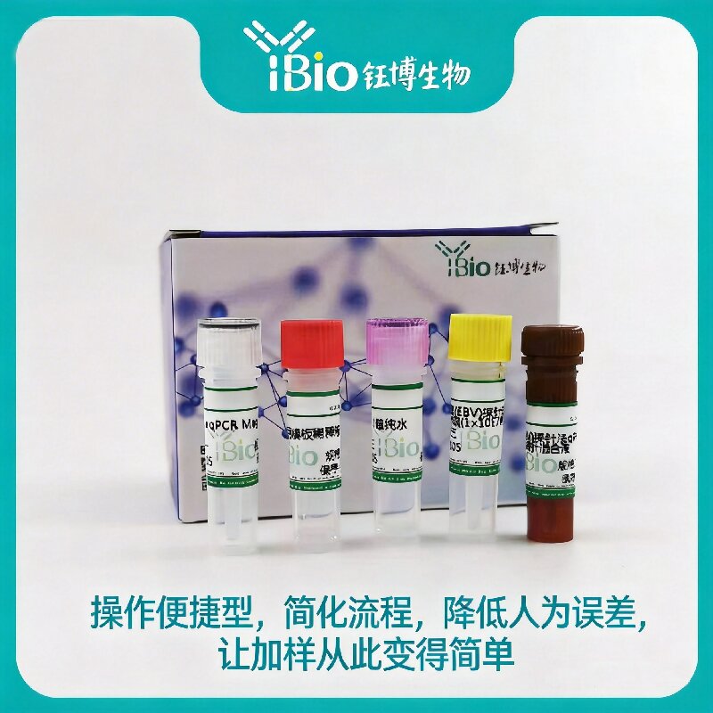 Streptococcus sui猪链球菌通用染料法荧光定量PCR试剂盒 YB-70925DPR