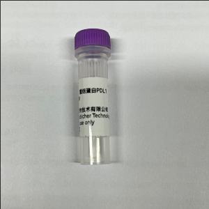 PDL1蛋白