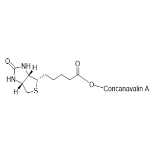 生物素-刀豆球蛋白A，Biotin-ConA