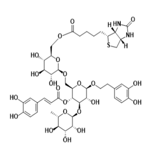 生物素-松果菊苷，Biotin-Echinacoside