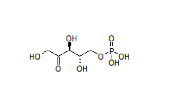 L-核酮糖-5-磷酸酯  2922-69-2