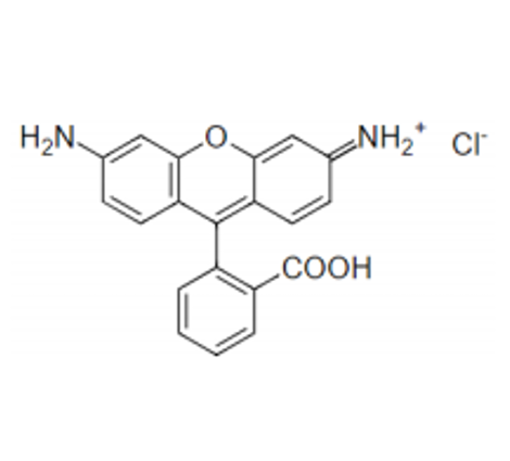 罗丹明110   13558-31-1