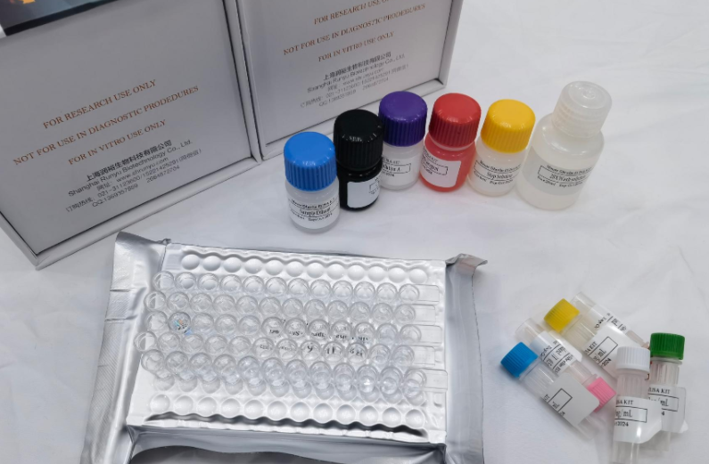 牛凋亡蛋白酶激活因子1（Apaf-1）ELISA试剂盒