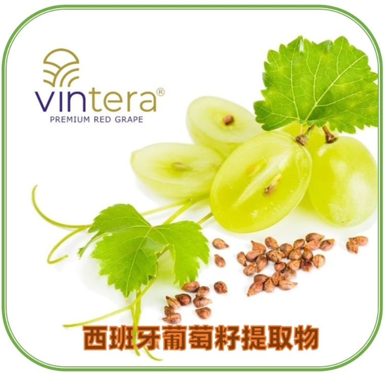 VINTERA葡萄籽提取物 | 天然植物香料葡萄籽提取物