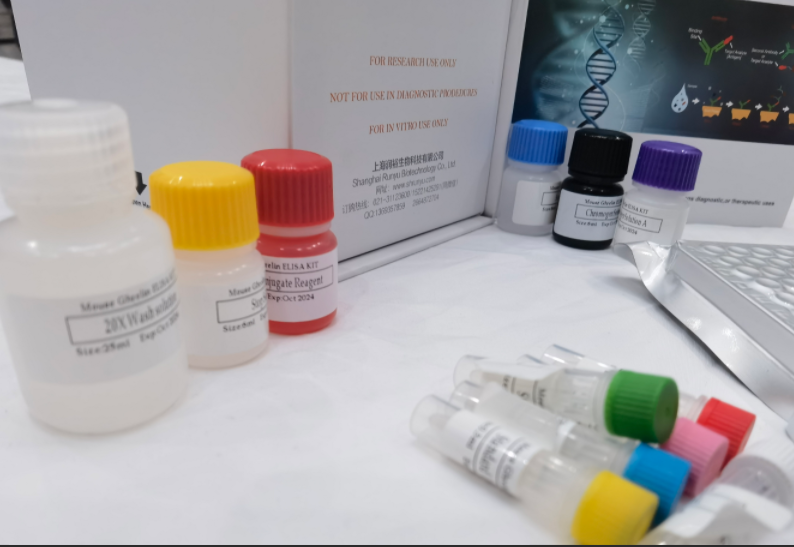 牛过氧化物酶体增殖因子活化受体γ（PPAR-γ）ELISA试剂盒