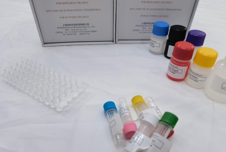 牛环氧化酶2（COX-2）ELISA试剂盒