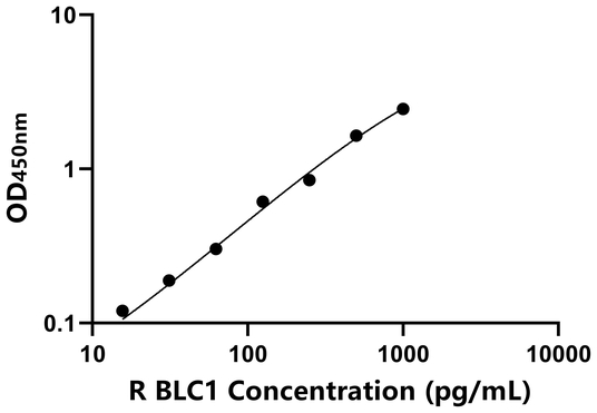 BLC1 ELISA KIT / 大鼠B-淋巴细胞趋化因子1 ELISA试剂盒