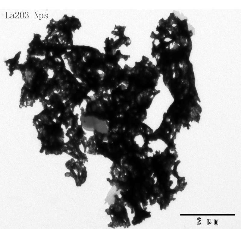 纳米氧化镧 高纯三氧化二镧粉末
