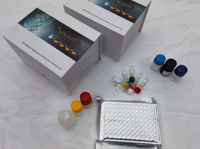 牛白细胞介素9（IL-9）ELISA试剂盒