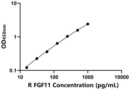 FGF11 ELISA KIT / 大鼠成纤维细胞生长因子11 ELISA试剂盒
