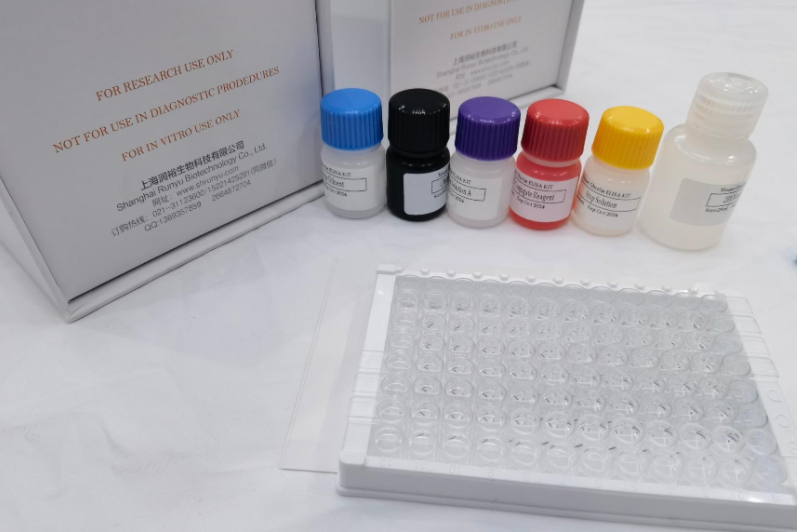 牛氨基己糖（hexosamine）ELISA试剂盒