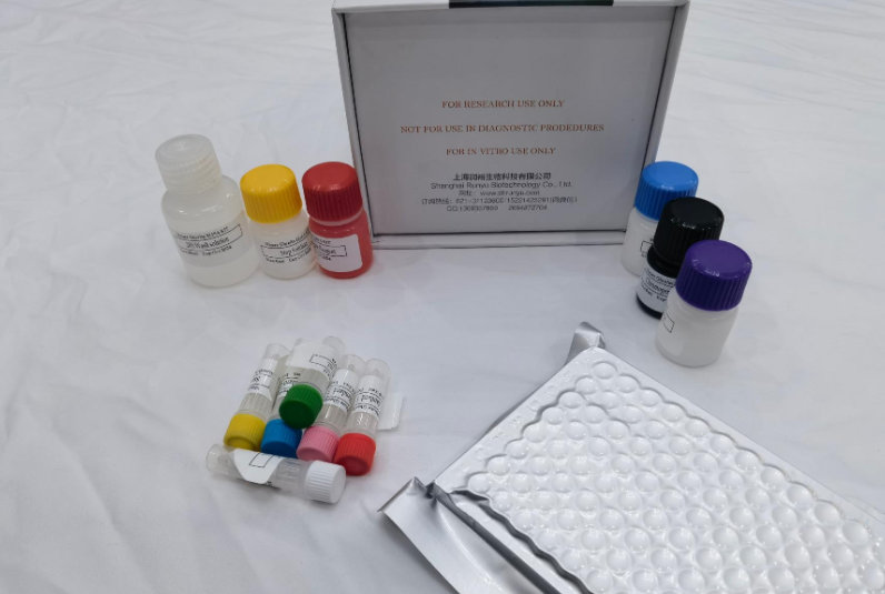 牛AMP激活蛋白激酶α2（AMPK-α2）ELISA试剂盒