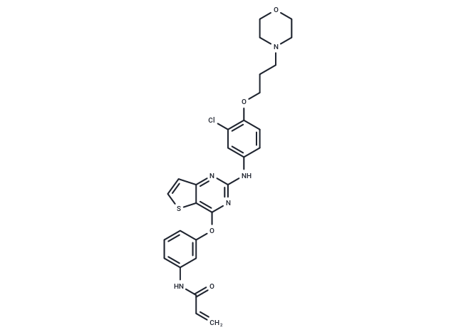 化合物 Thi-DPPY|T64008|TargetMol
