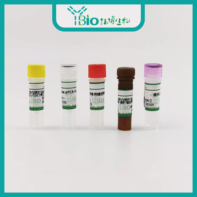 Nosema apis西方蜜蜂微孢子虫染料法荧光定量PCR试剂盒 YB-70751DPR