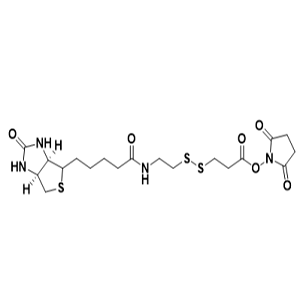 生物素-二硫键-活性酯，Biotin-SS-NHS