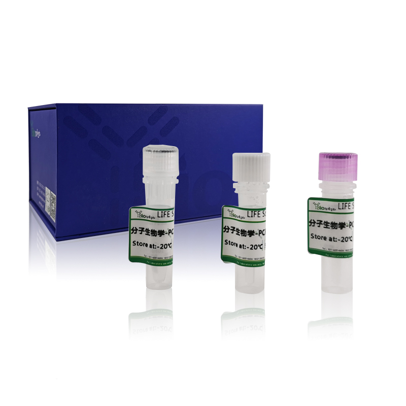 Mycoplasma haemocanis犬血支原体染料法荧光定量PCR试剂盒 YB-70687DPR