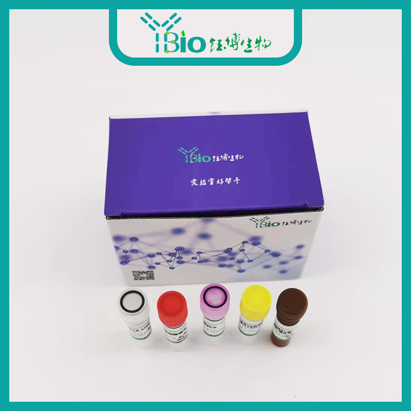 Rhizopus microspous小孢子酒曲菌染料法荧光定量PCR试剂盒 YB-70783DPR