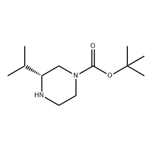 aladdin 阿拉丁 B728661 (R)-1-Boc-3-异丙基哌嗪 928025-63-2 ≥95%